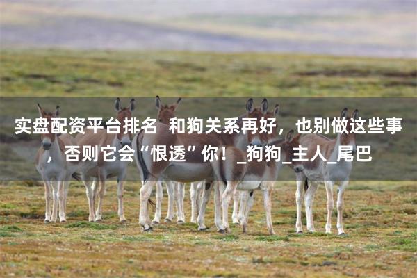 实盘配资平台排名  和狗关系再好，也别做这些事，否则它会“恨透”你！_狗狗_主人_尾巴