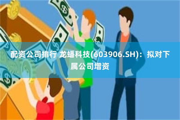 配资公司排行 龙蟠科技(603906.SH)：拟对下属公司增资