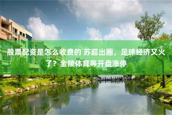 股票配资是怎么收费的 苏超出圈，足球经济又火了？金陵体育等开盘涨停