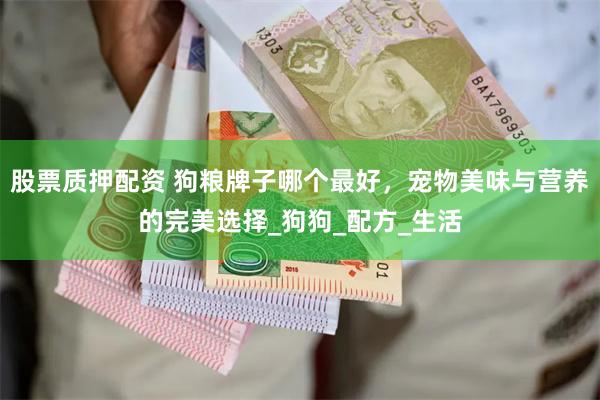 股票质押配资 狗粮牌子哪个最好，宠物美味与营养的完美选择_狗狗_配方_生活