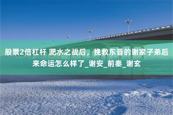 股票2倍杠杆 淝水之战后，挽救东晋的谢家子弟后来命运怎么样了_谢安_前秦_谢玄