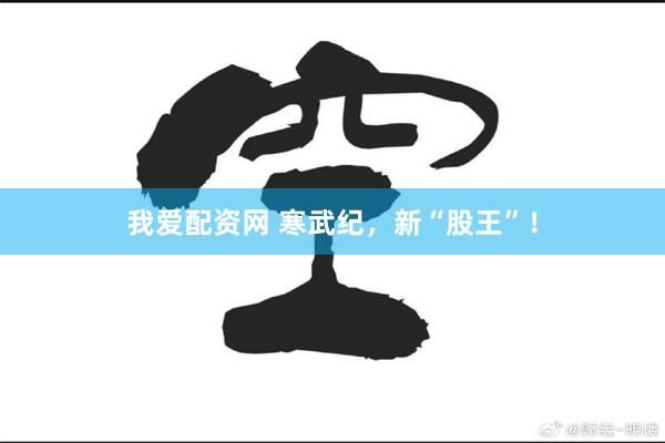 我爱配资网 寒武纪，新“股王”！
