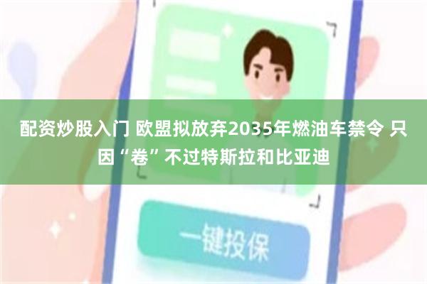 配资炒股入门 欧盟拟放弃2035年燃油车禁令 只因“卷”不过特斯拉和比亚迪