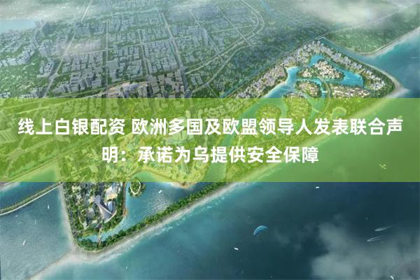 线上白银配资 欧洲多国及欧盟领导人发表联合声明：承诺为乌提供安全保障